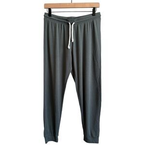 Saltwater Luxe Pull On Jogger Pants Medium